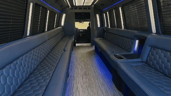Interior of Mankato Party Bus Company's 40 Passenger Party Bus in Mankato