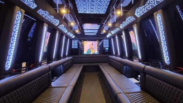 minnesota 25 passenger party bus rental