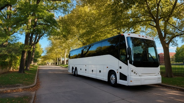 minnesota bachelor and bachelorette charter bus rental